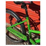 Bianchi Rollo Cruiser Bicycle - Size Small