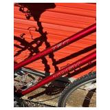 Trek 720 Hybrid Bicycle - Size Medium