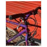 Giant Innova Hybrid Bicycle - Size Small