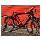 Schwinn Mesa Mountain Bike - Size Large