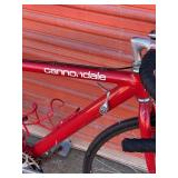 Cannondale Vintage Touring Bike