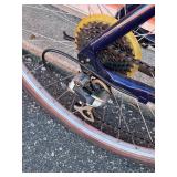 Cannondale Silk Road 700 Hybrid Bicycle - Size Large