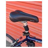 Cannondale Silk Road 700 Hybrid Bicycle - Size Large