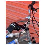 Schwinn Cimarron Bicycle