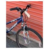 Schwinn High Plains Bicycle