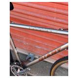 Giant Prodigy Hybrid Bicycle - Size Medium / Large