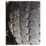 1997 Ford F350 with Hiniker Snow Plow