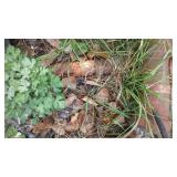 Vintage Axles  Used, Rusted Condition.