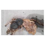 Toro Push Mower. 5 GTS 2 Cycle Power Drive