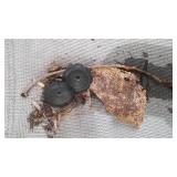 Toro Push Mower. 5 GTS 2 Cycle Power Drive