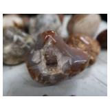AGATES AND POLISHED ROCKS