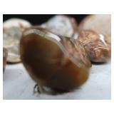 AGATES AND POLISHED ROCKS