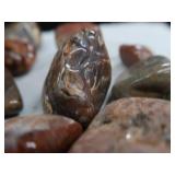 AGATES AND POLISHED PRETTIES