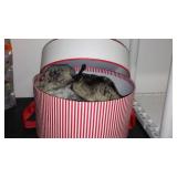 Fur Hat and NEW Ice/ Snow Traction Grips.