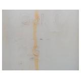 275 Gallon IBC Tote with Aluminum Cage - Mauser