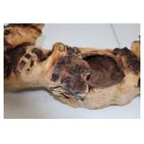 Natural Wood Burl Accent Piece - Organic 16 Inch