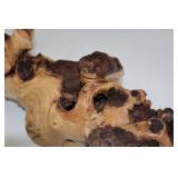 Natural Wood Burl Accent Piece - Organic 16 Inch