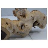 Natural Wood Burl Accent Piece - Organic 16 Inch