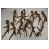 11 Velvet-Covered Deer Antler Ornaments with Twine