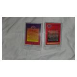 Lot of Elvis Collectibles - Graceland Model, License plate, Mug, Figurine