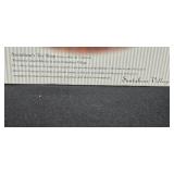 Department 56 Santabear