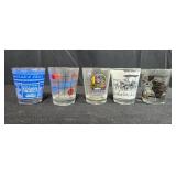 Collection of Souvenir and Themed Shot Glasses and Mini Mugs