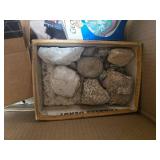 Sears Companion Gem Tumbler with Rock and Mineral Collection and Guides