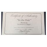 Framed Limited Edition Print 