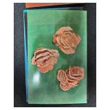 Assorted Coin Lot with Foreign and US Coins and Mineral Postcard Set