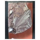 Assorted Coin Lot with Foreign and US Coins and Mineral Postcard Set