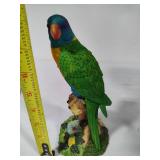 Bird Books and Parrot Statue