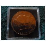 7 Copper Collectible Coins