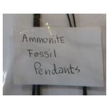 5 Ammonite Fossil Pendant Necklaces