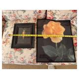 Framed Art Set featuring Carrot Illustration and Yellow Rose Photograph
