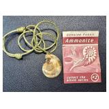 Genuine Ammonite Fossil Pendant Necklace with Cord