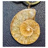 Genuine Ammonite Fossil Pendant Necklace with Cord
