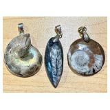Set of 3 Ammonite and Orthoceras Fossil Pendants