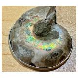 Set of 3 Ammonite and Orthoceras Fossil Pendants