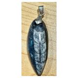Set of 3 Ammonite and Orthoceras Fossil Pendants
