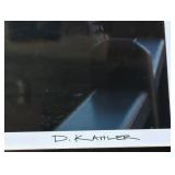 Framed Art Photograph 