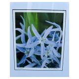 Framed Floral Art Print 