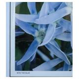 Framed Floral Art Print 