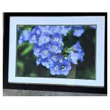 Framed Floral Photograph with Blue Flowers