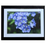 Framed Floral Photograph with Blue Flowers