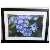 Framed Floral Photograph with Blue Flowers