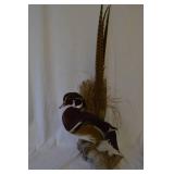 Wood Duck