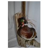 Wood Duck