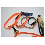 Dog Accessories