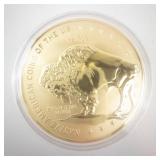 Native American U.S. Coin - American Mint Reverse Proof Collection (Reproduction, Not Legal Tender)