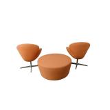 2 Swivel Chairs & Ottoman